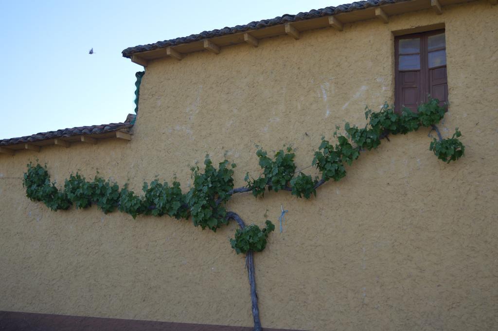 Casa Rural Los Llaganos Villaturiel Eksteriør billede